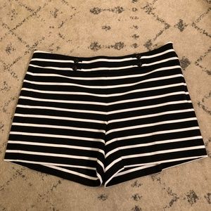 White House Black Market Shorts